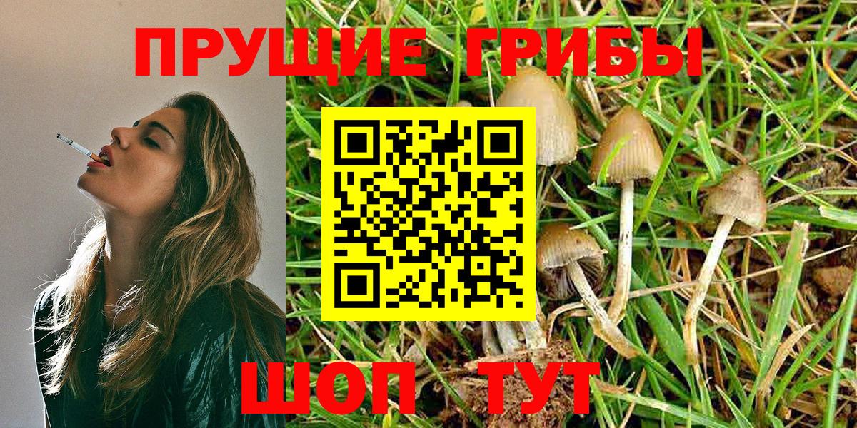 Галлюциногенные грибы мицелий  Вход с VPN  Галлюциногенные грибы Cubensis  Белая Калитва 